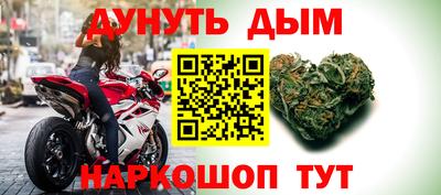 сатива Будённовск