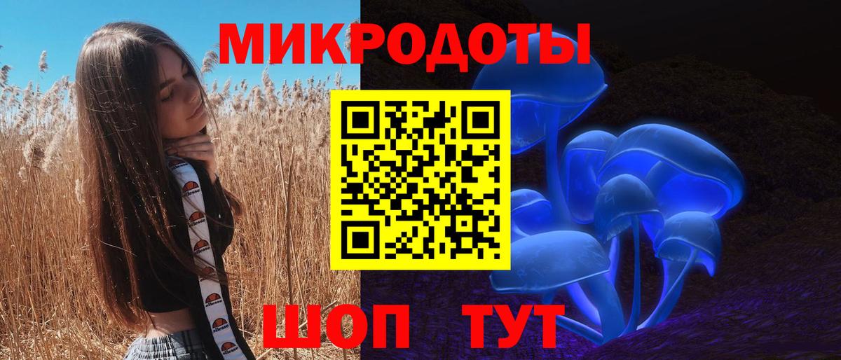 где найти наркотики  Вход с VPN  Ростов-на-Дону  Псилоцибиновые грибы Psilocybe  Псилоцибиновые грибы Psilocybe 