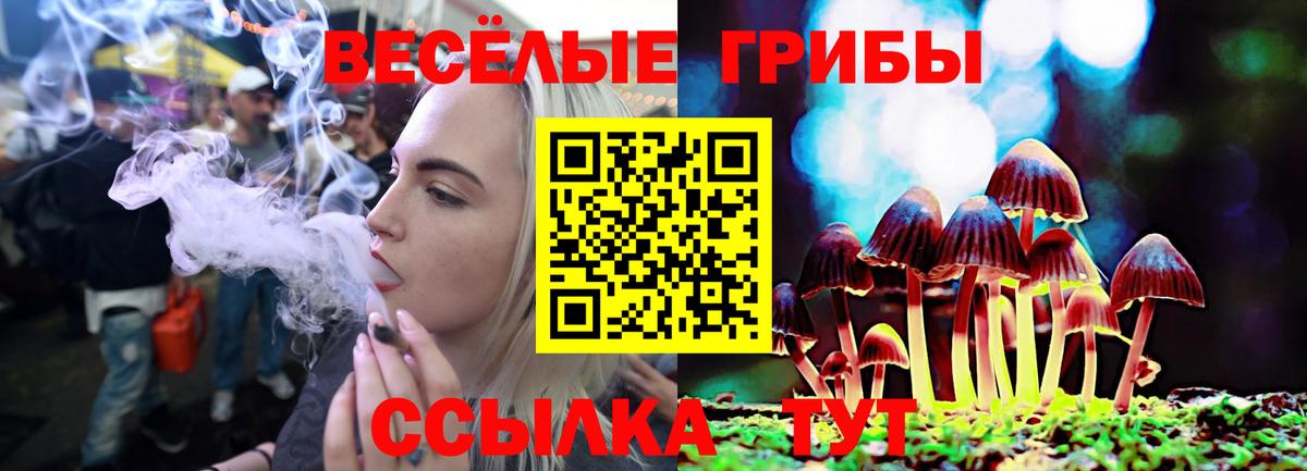 Псилоцибиновые грибы Psilocybe Ростов-на-Дону